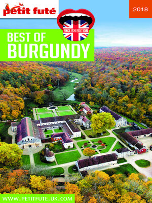 cover image of BEST OF BURGUNDY 2018/2019 Petit Futé